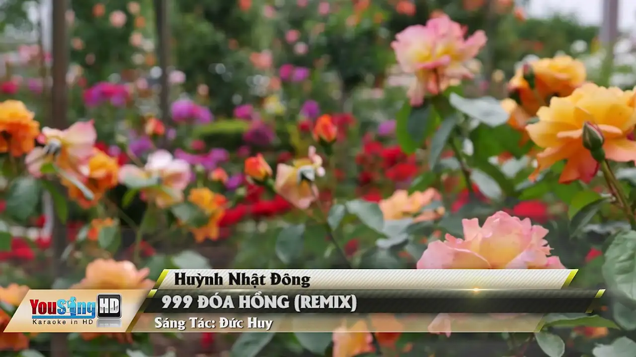 Ảnh bài hát 999 Đóa Hồng (Remix)