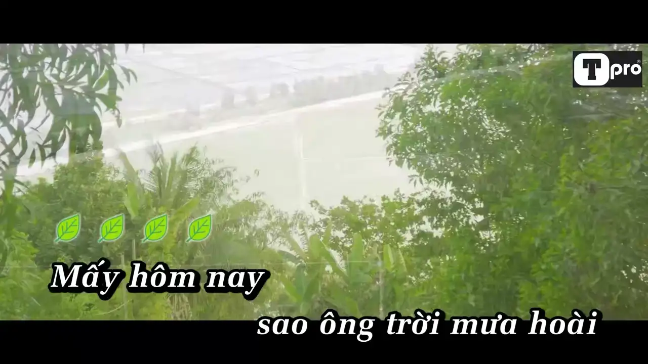 Ảnh bài hát Anh Cũng Cần Tình Yêu