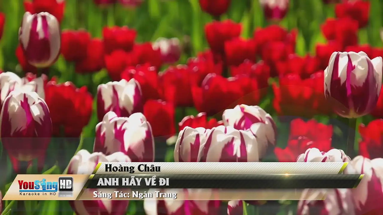 Ảnh bài hát Anh Hãy Về Đi