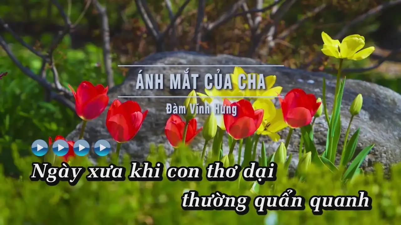Ảnh bài hát Ánh Mắt Của Cha
