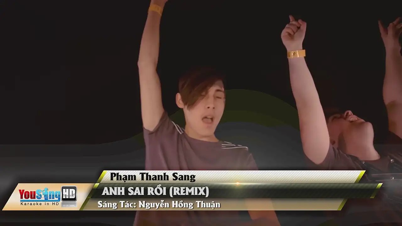 Ảnh bài hát Anh Sai Rồi (Remix)