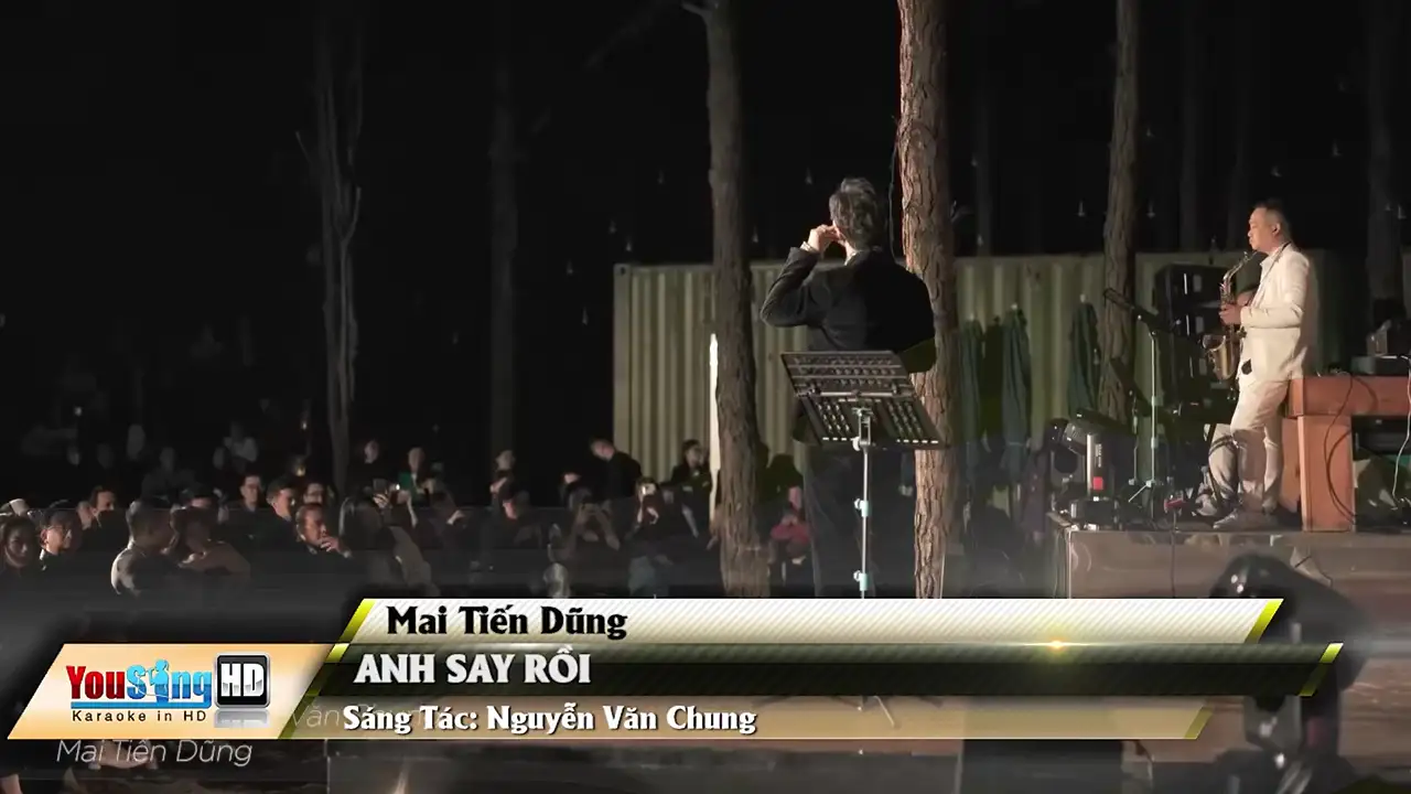 Ảnh bài hát Anh Say Rồi