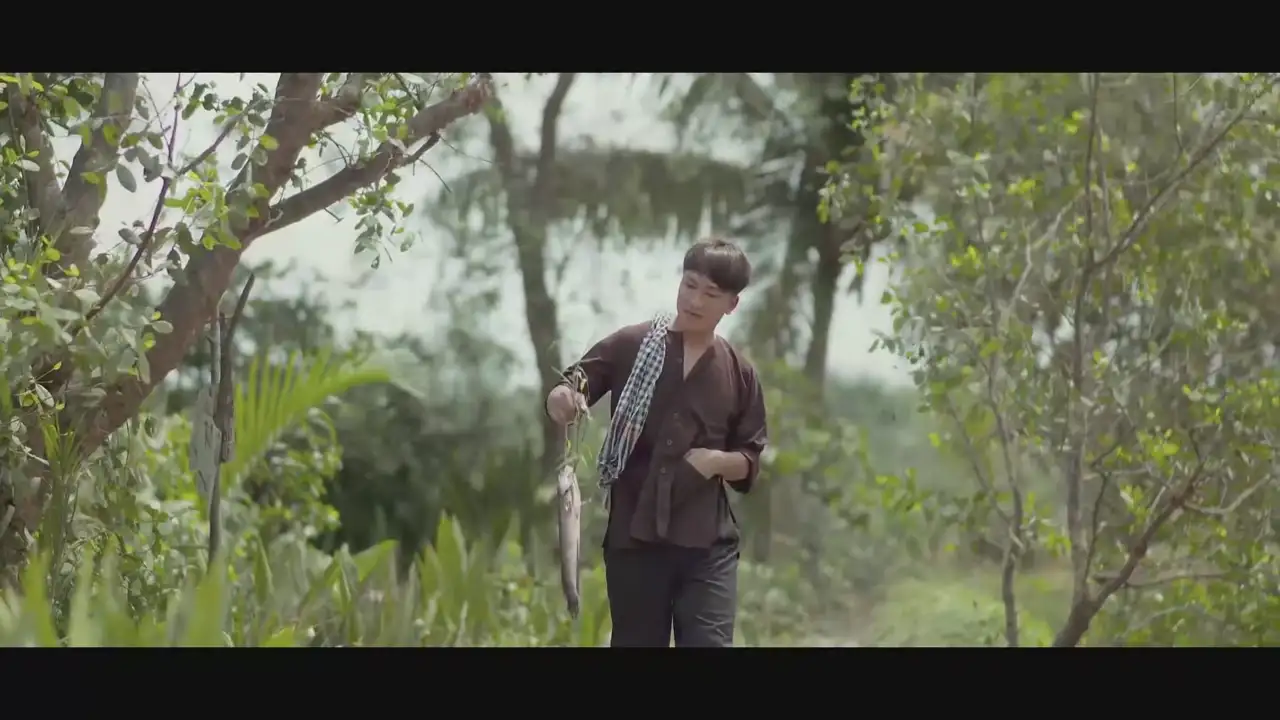 Ảnh bài hát Áo Cũ Tình Mới