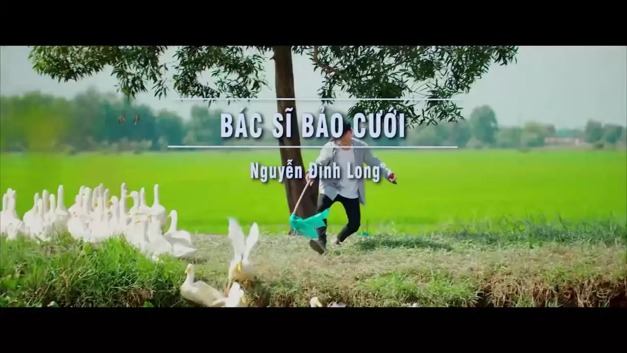 Ảnh bài hát Bác Sĩ Bảo Cưới