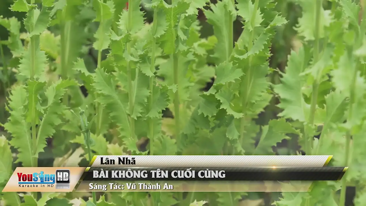 Ảnh bài hát Bài Không Tên Cuối Cùng