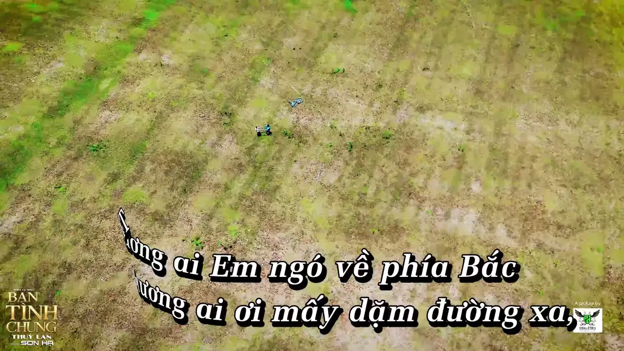 Ảnh bài hát Bạn Tình Chung