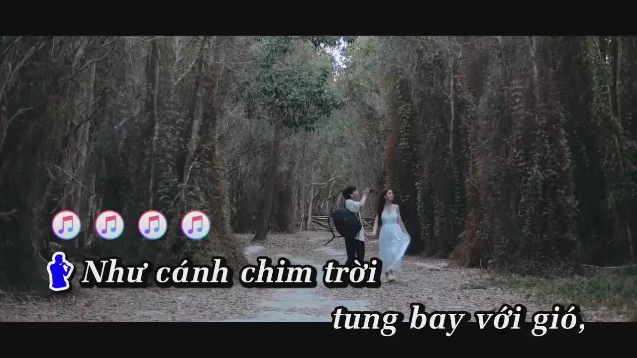 Ảnh bài hát Bạn Tình Ơi 2