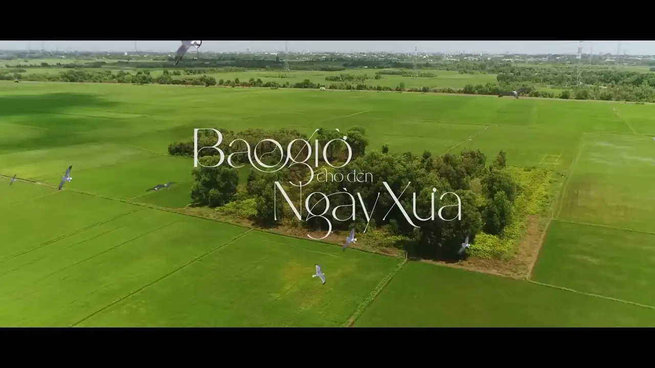 Ảnh bài hát Bao Giờ Cho Đến Ngày Xưa
