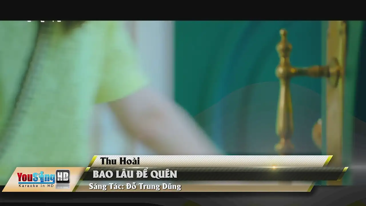 Ảnh bài hát Bao Lâu Để Quên