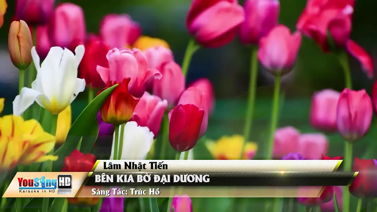 Ảnh bài hát Bên Kia Bờ Đại Dương