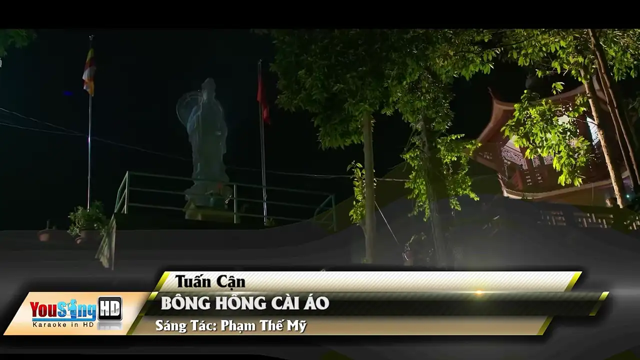 Ảnh bài hát Bông Hồng Cài Áo (Guitar)