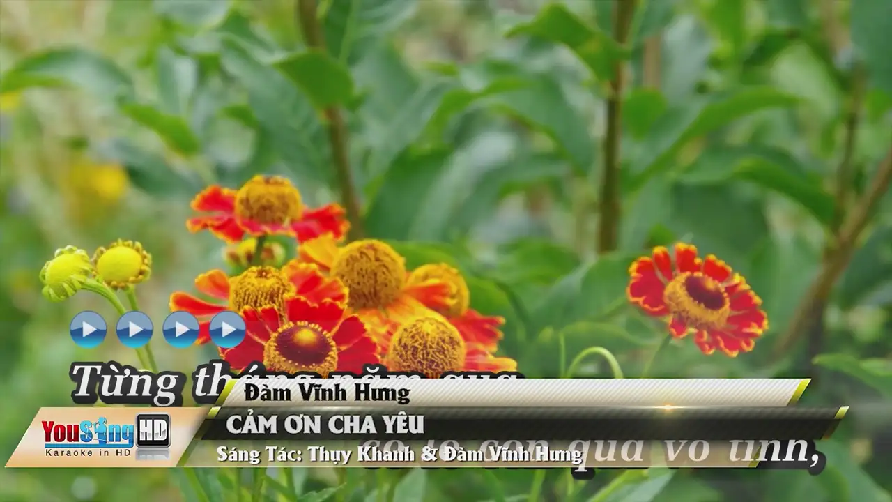 Ảnh bài hát Cảm Ơn Cha Yêu