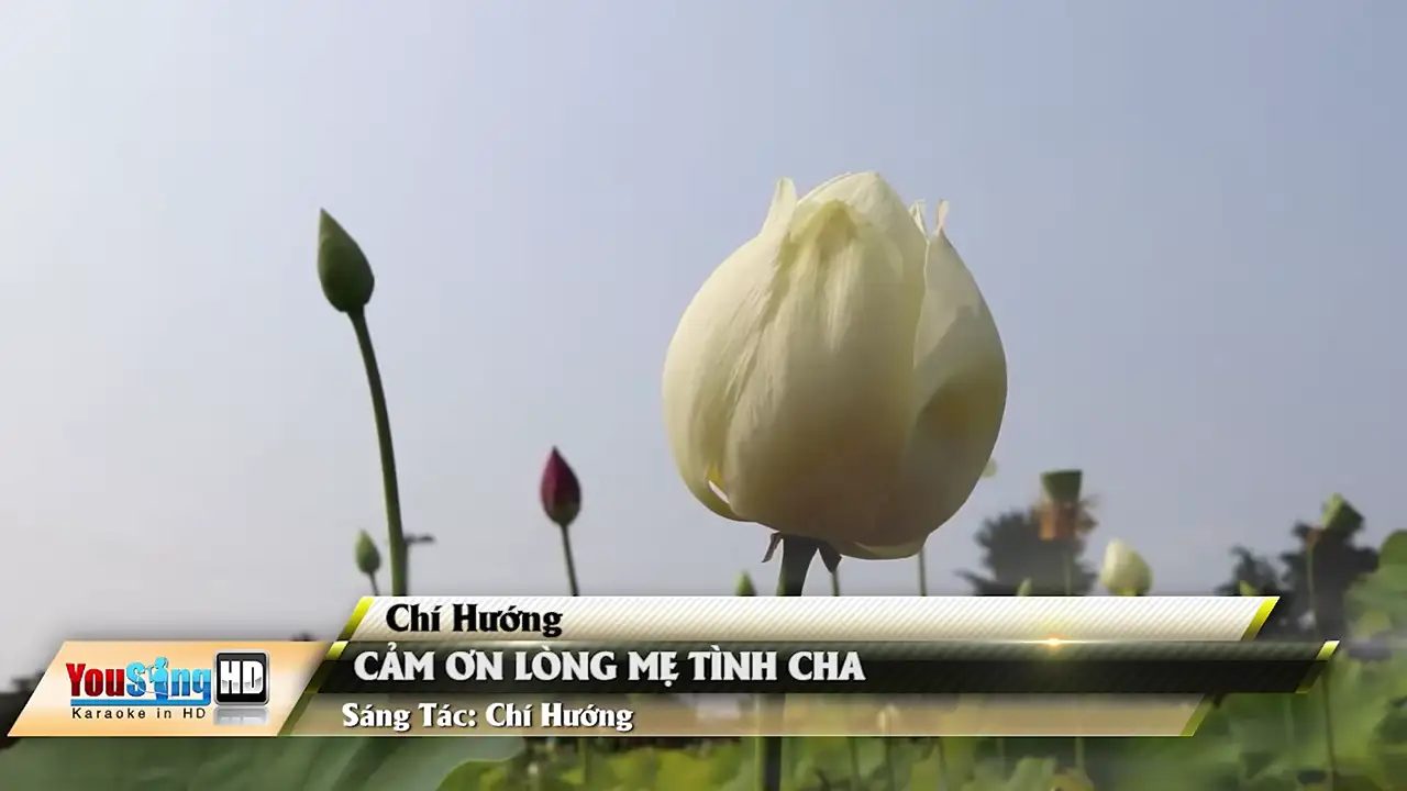 Ảnh bài hát Cảm Ơn Lòng Mẹ Tình Cha