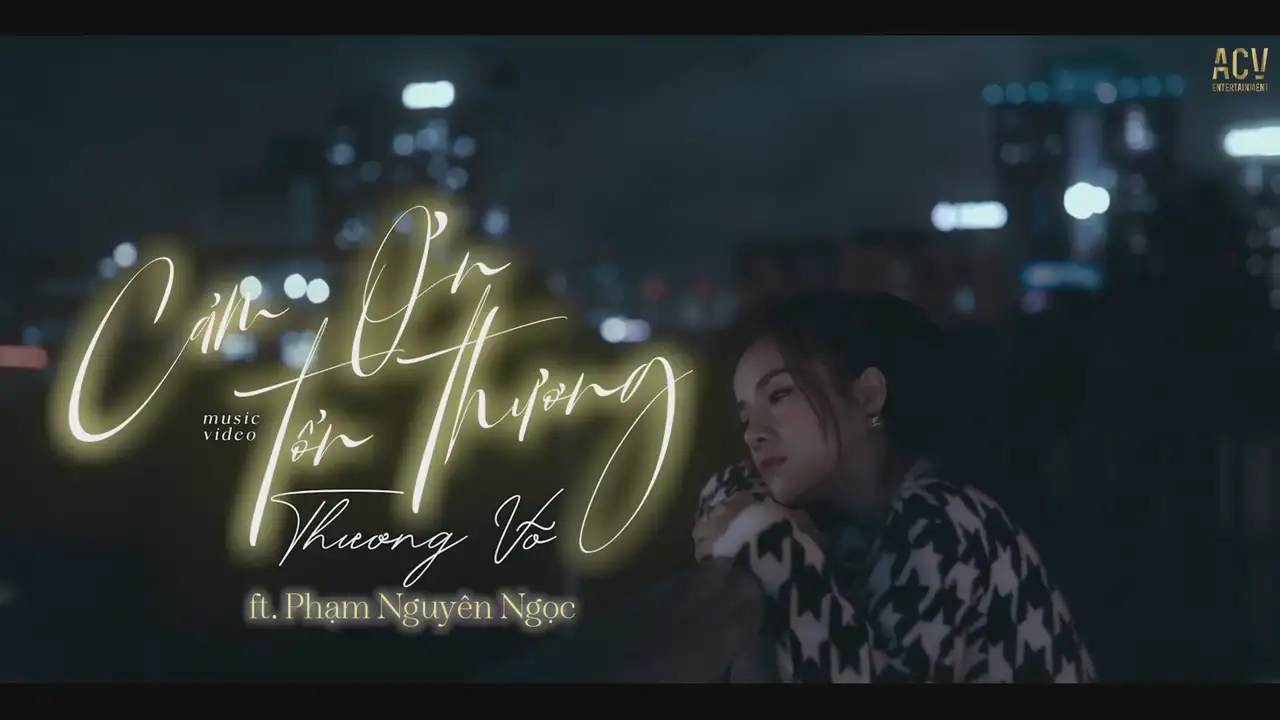 Ảnh bài hát Cảm Ơn Tổn Thương