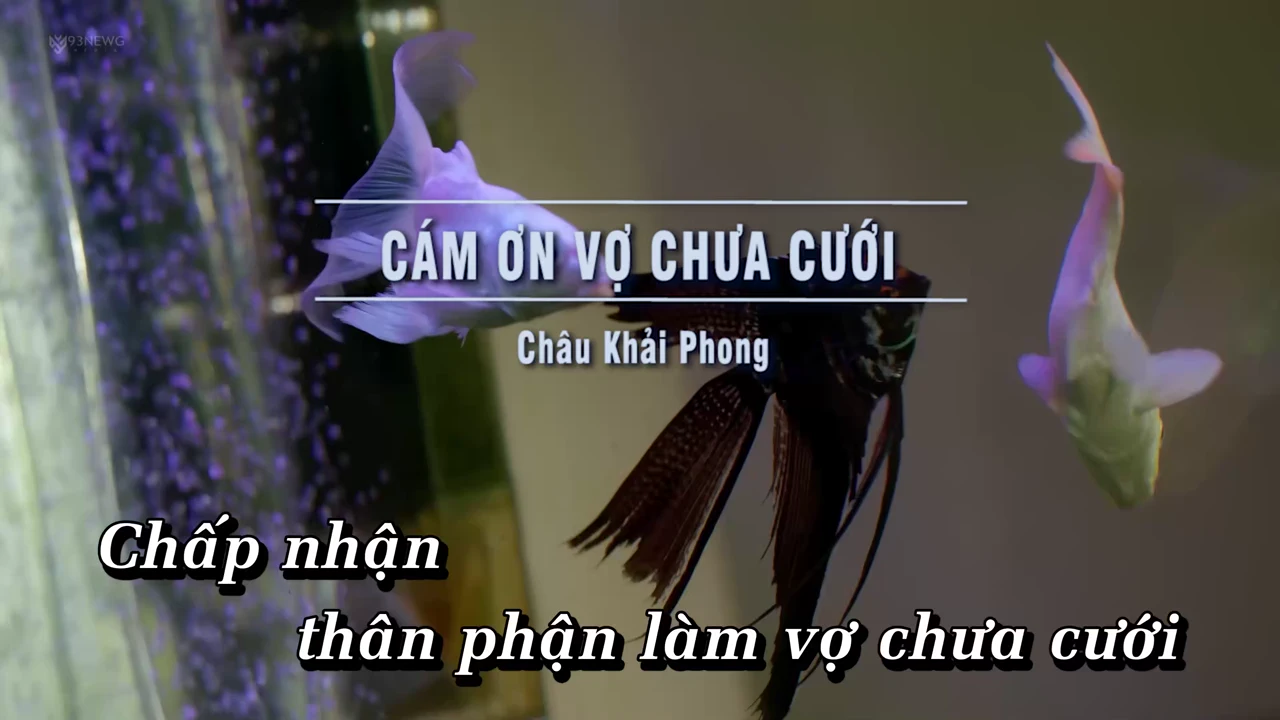 Ảnh bài hát Cám Ơn Vợ Chưa Cưới