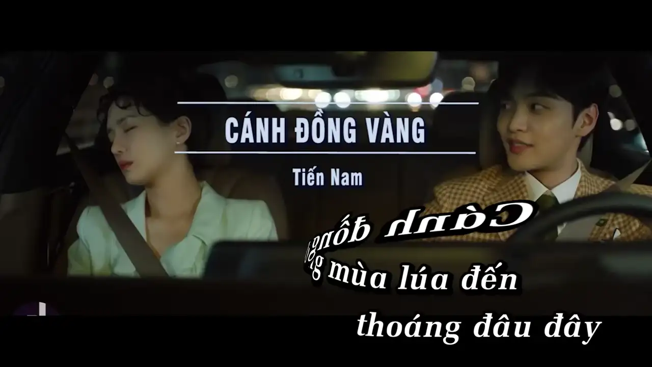Ảnh bài hát Cánh Đồng Vàng