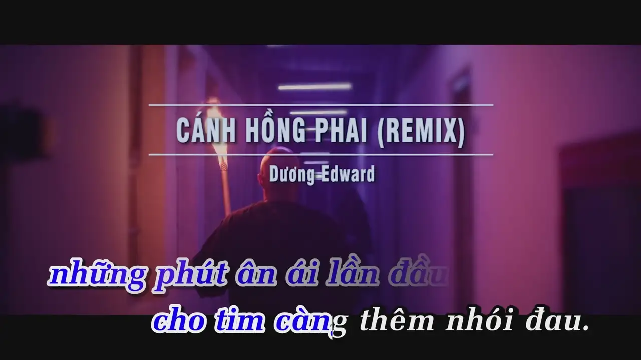 Ảnh bài hát Cánh Hồng Phai (Remix)