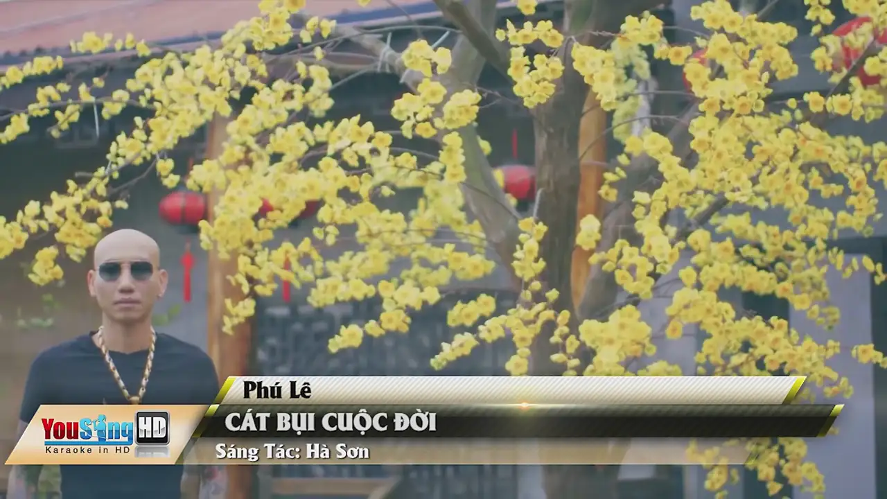 Ảnh bài hát Cát Bụi Cuộc Đời