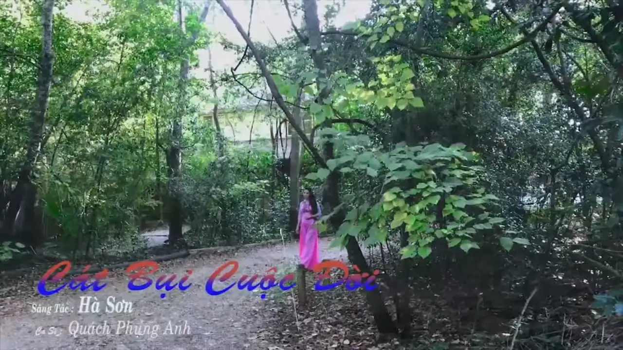 Ảnh bài hát Cát Bụi Cuộc Đời