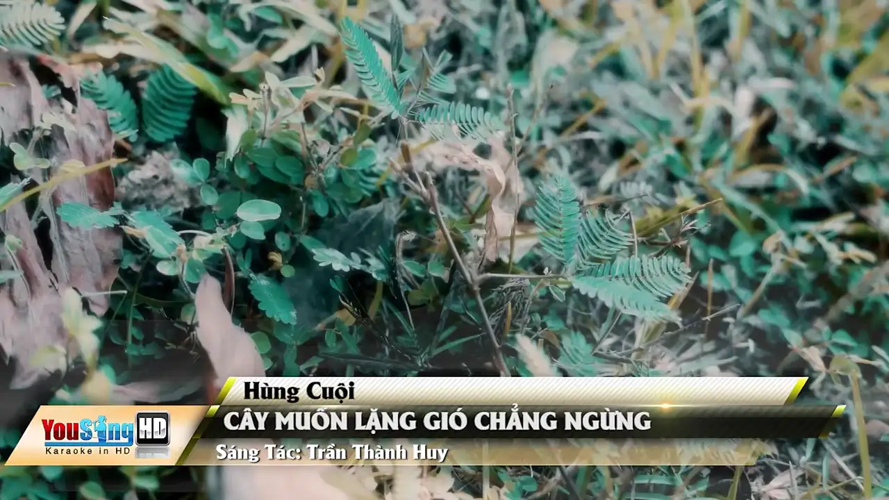 Ảnh bài hát Cây Muốn Lặng Gió Chẳng Ngừng