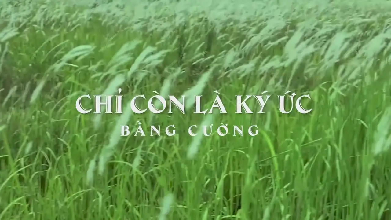 Ảnh bài hát Chỉ Còn Là Ký Ức