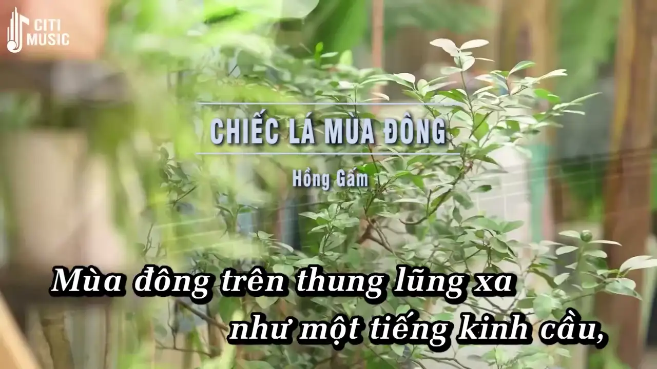 Ảnh bài hát Chiếc Lá Mùa Đông
