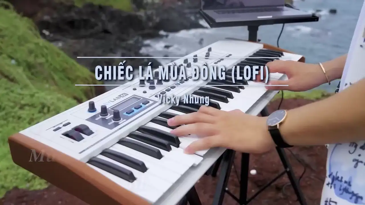 Ảnh bài hát Chiếc Lá Mùa Đông (Lofi Tone Nam)