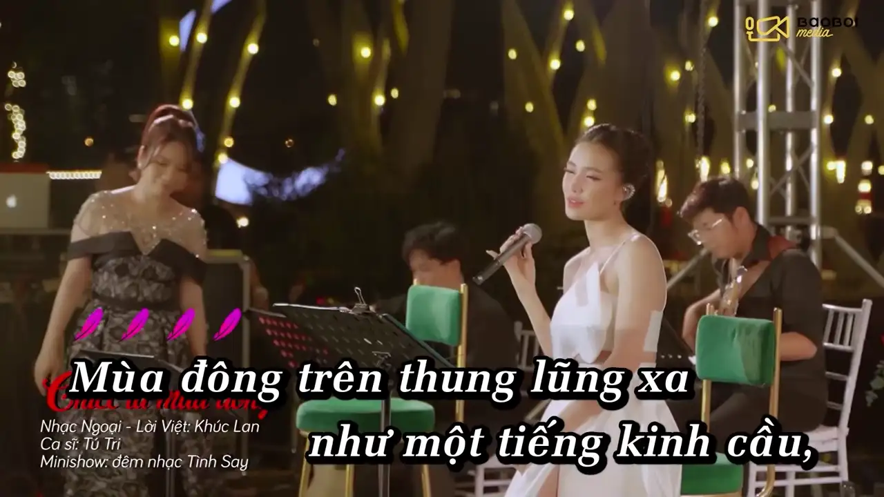 Ảnh bài hát Chiếc Lá Mùa Đông
