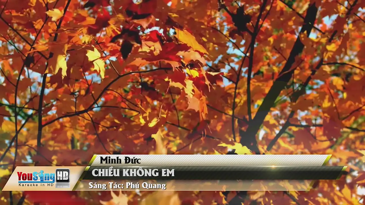 Ảnh bài hát Chiều Không Em