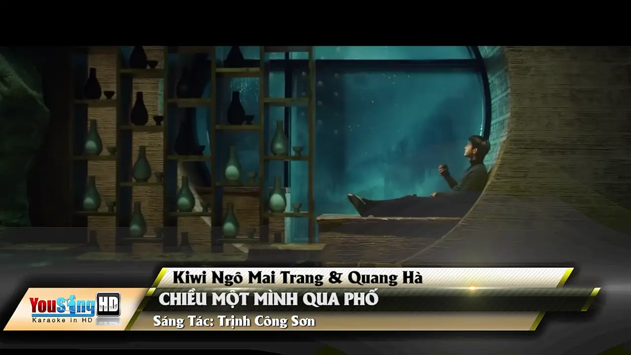 Ảnh bài hát Chiều Một Mình Qua Phố