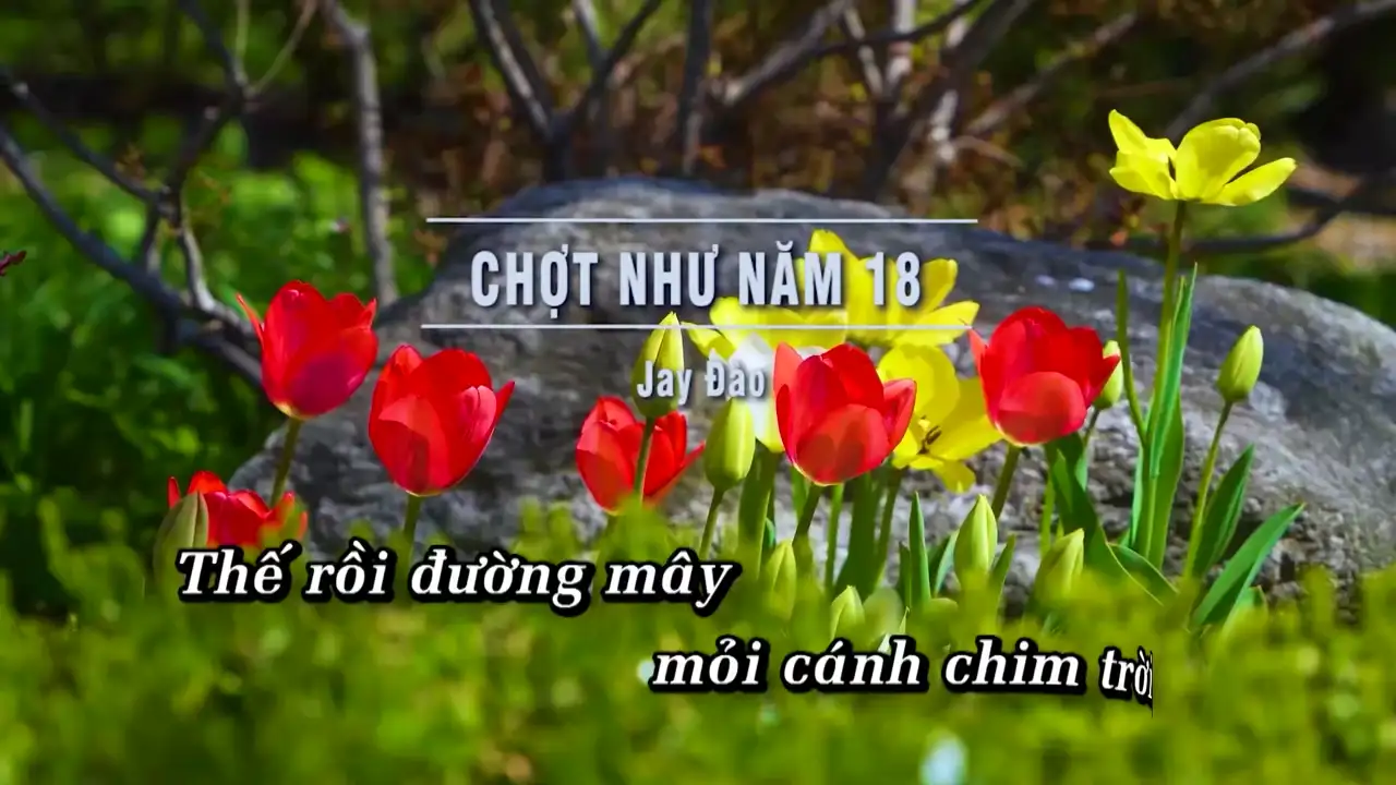 Ảnh bài hát Chợt Như Năm 18