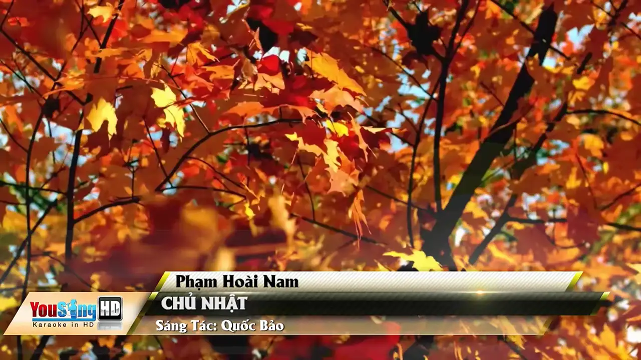 Ảnh bài hát Chủ Nhật