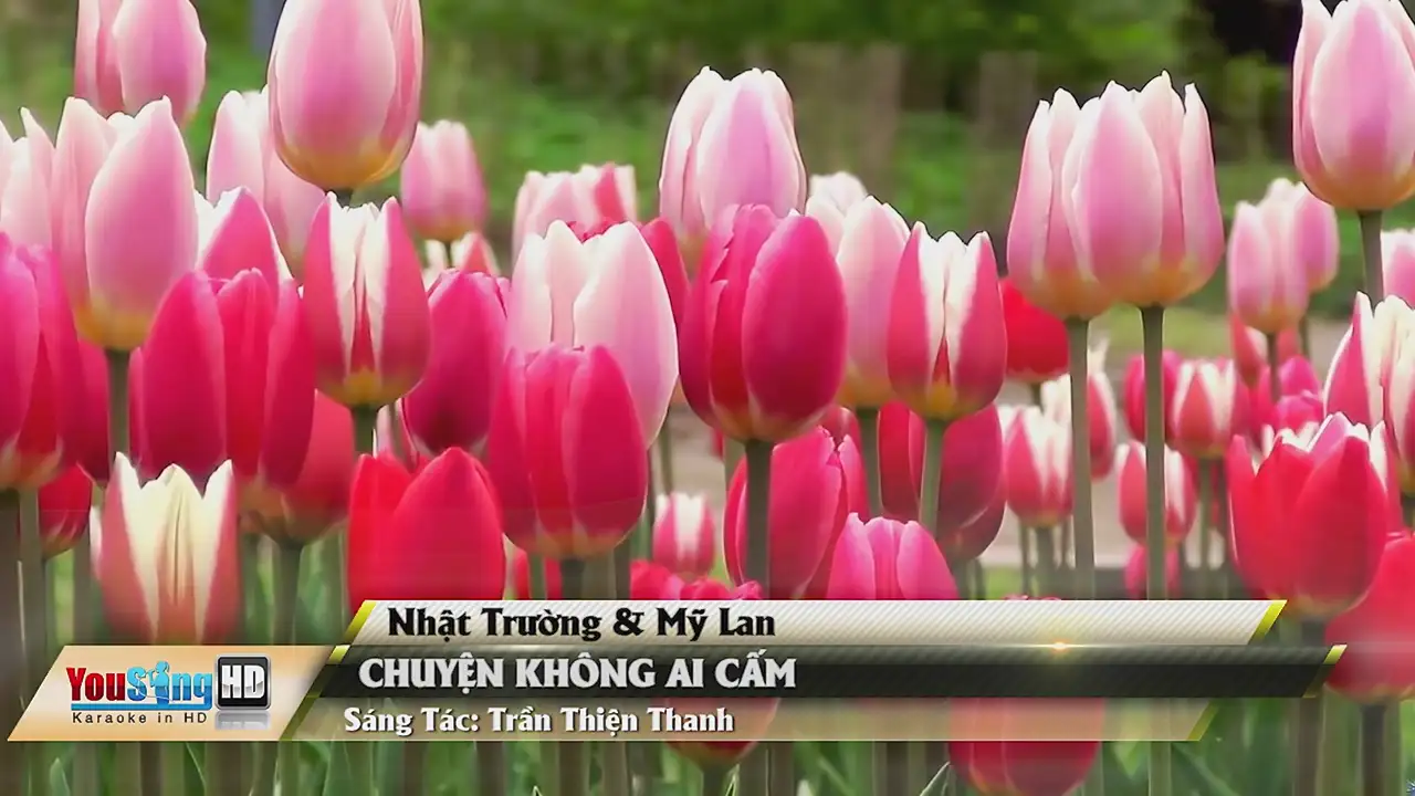 Ảnh bài hát Chuyện Không Ai Cấm (Tone Nữ)