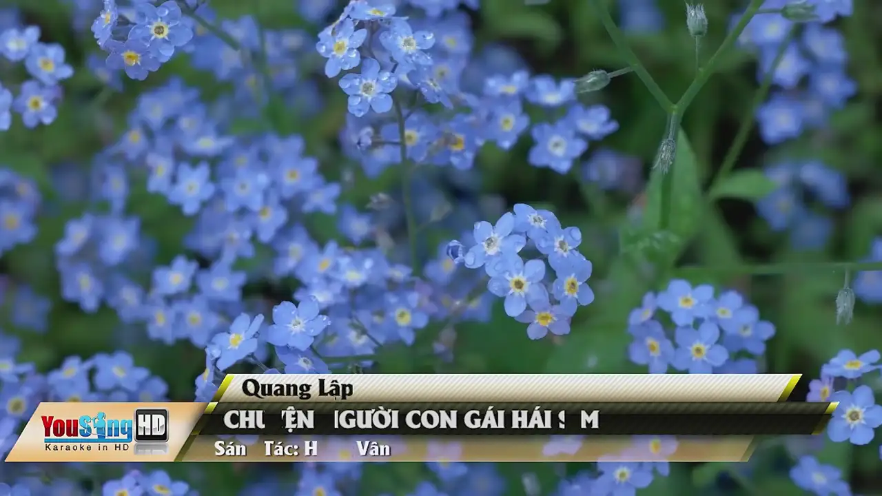 Ảnh bài hát Chuyện Người Con Gái Hái Sim