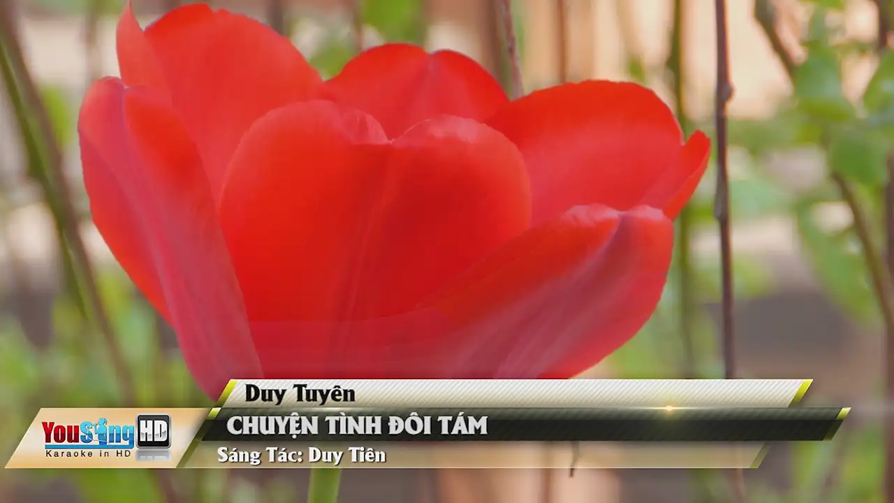 Ảnh bài hát Chuyện Tình Đôi Tám