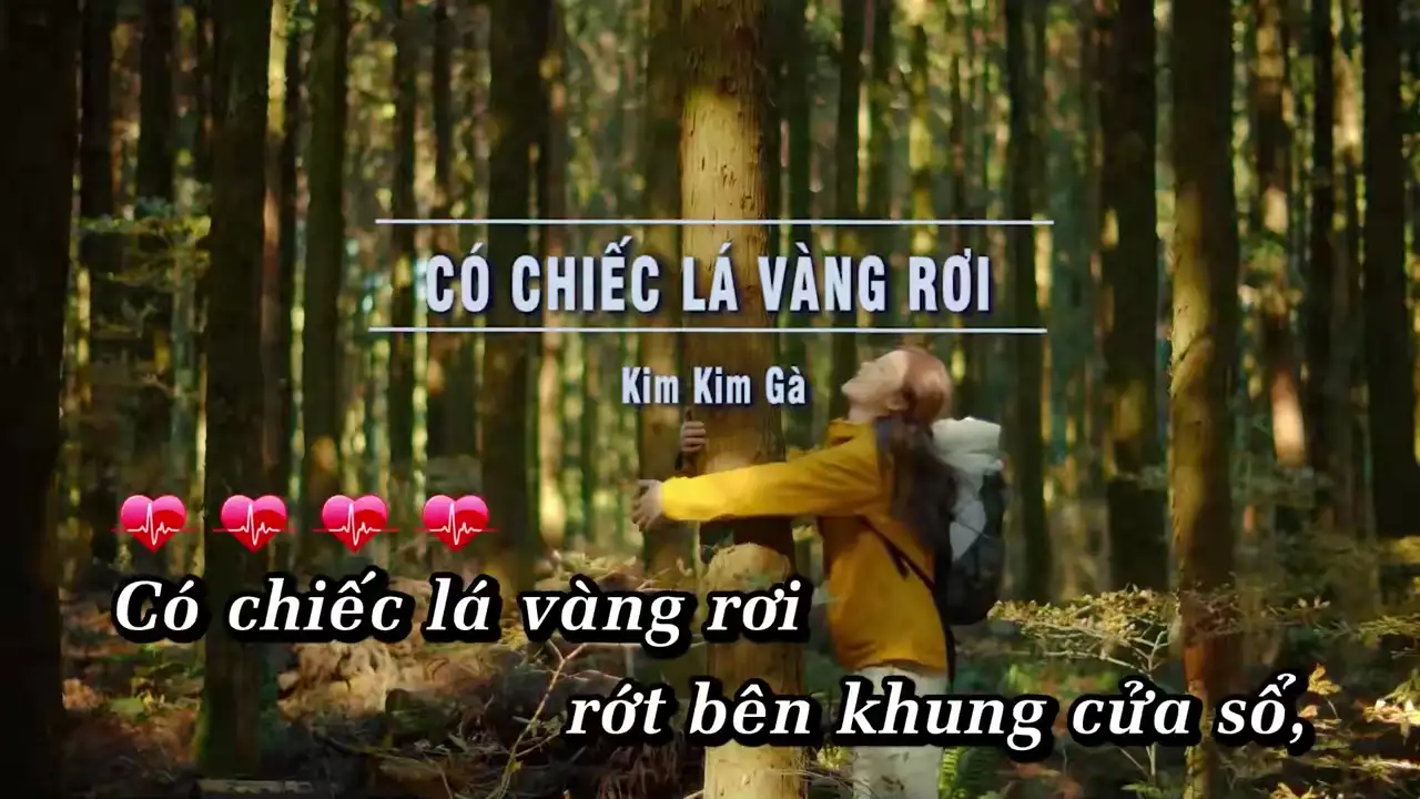 Ảnh bài hát Có Chiếc Lá Vàng Rơi