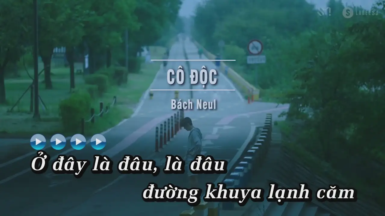 Ảnh bài hát Cô Độc
