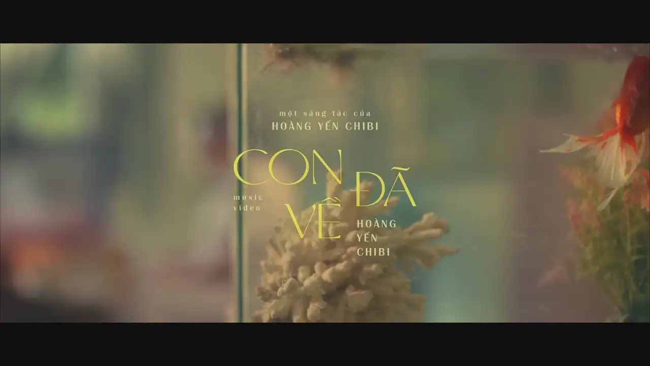 Ảnh bài hát Con Đã Về