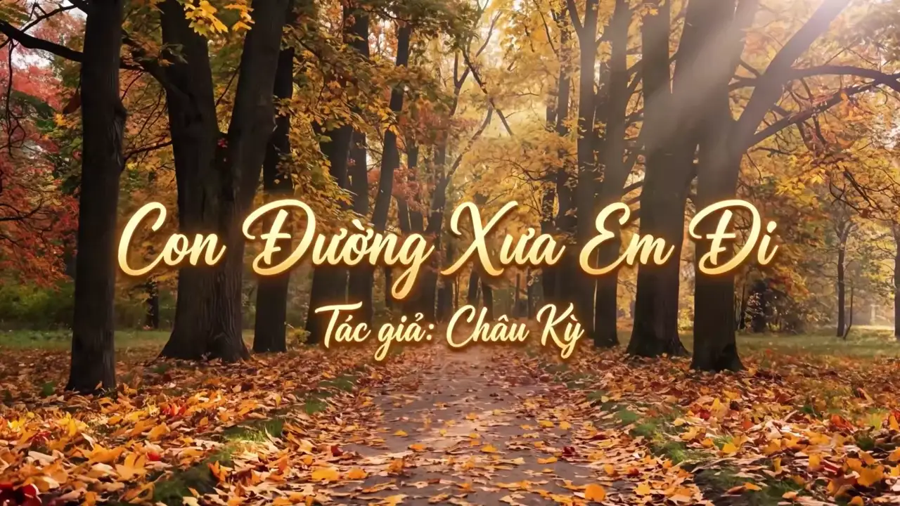 Ảnh bài hát Con Đường Xưa Em Đi (Tone Nam)