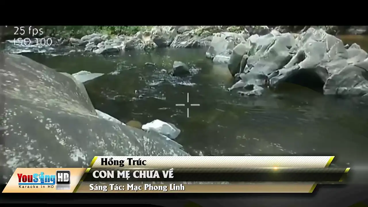 Ảnh bài hát Con Mẹ Chưa Về