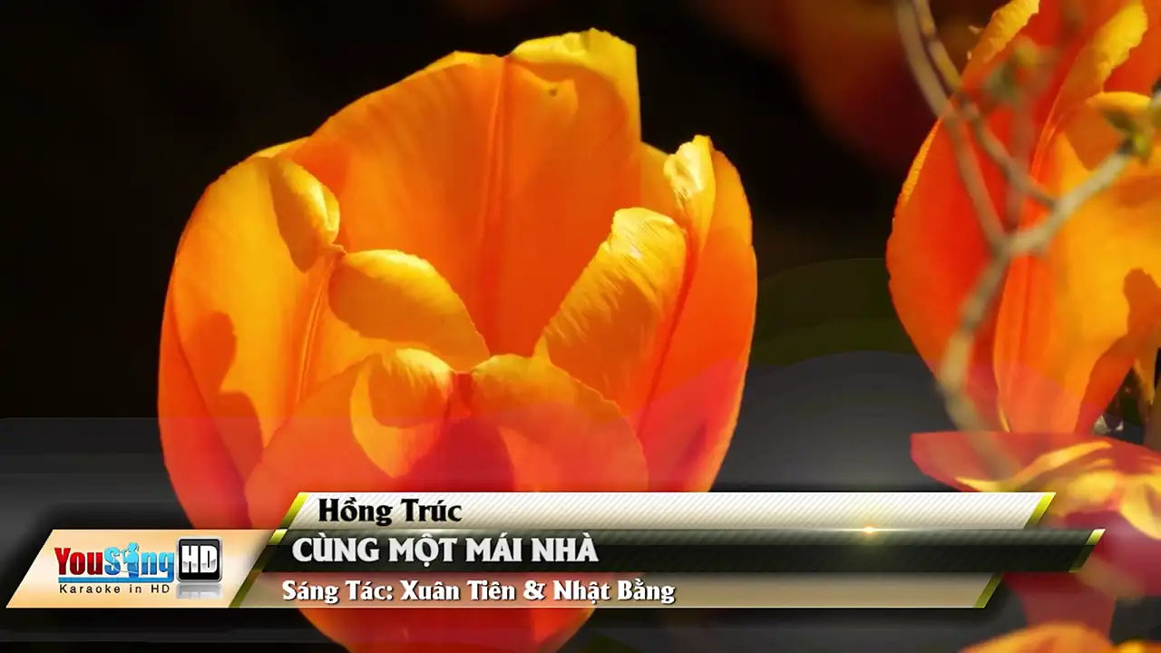 Ảnh bài hát Cùng Một Mái Nhà