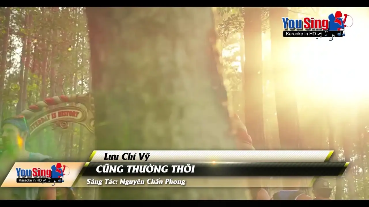 Ảnh bài hát Cũng Thường Thôi