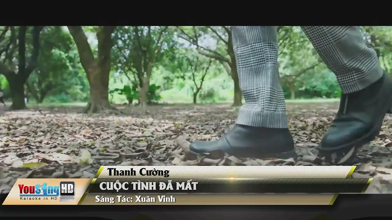 Ảnh bài hát Cuộc Tình Đã Mất