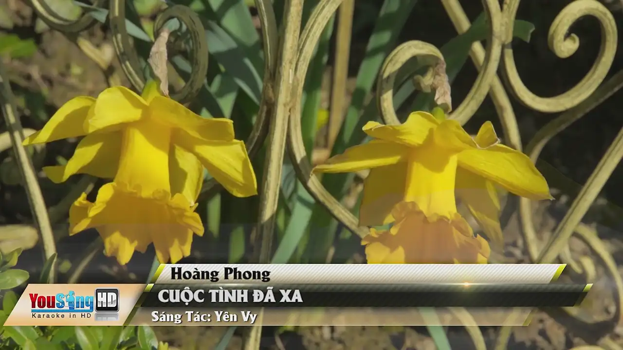 Ảnh bài hát Cuộc Tình Đã Xa