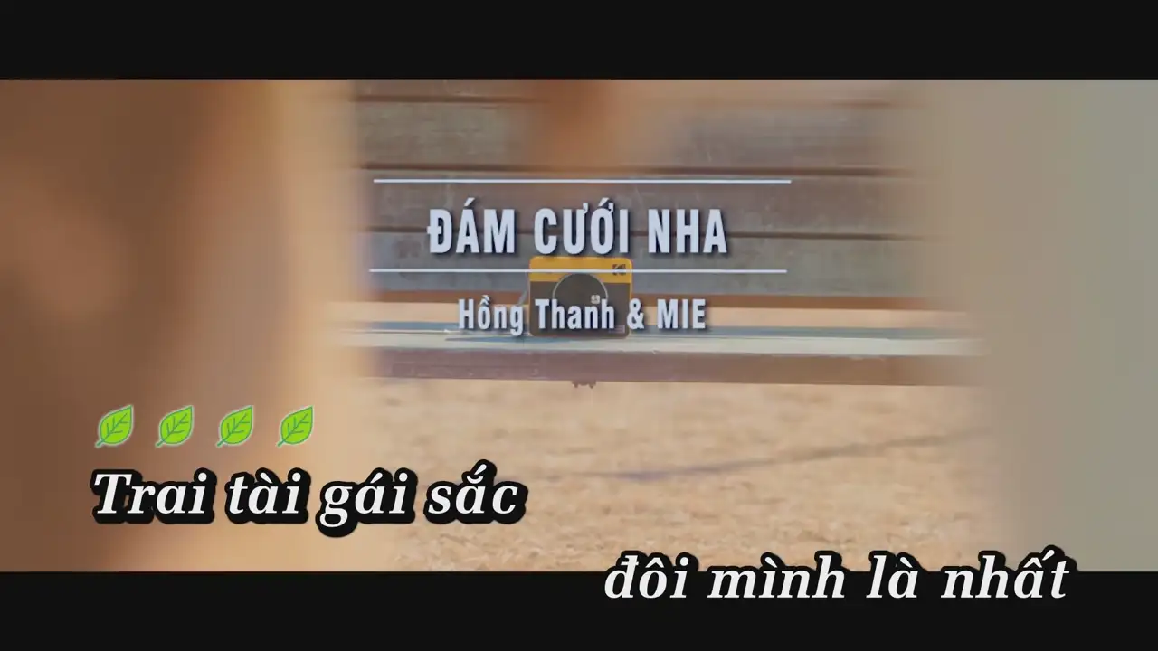 Ảnh bài hát Đám Cưới Nha