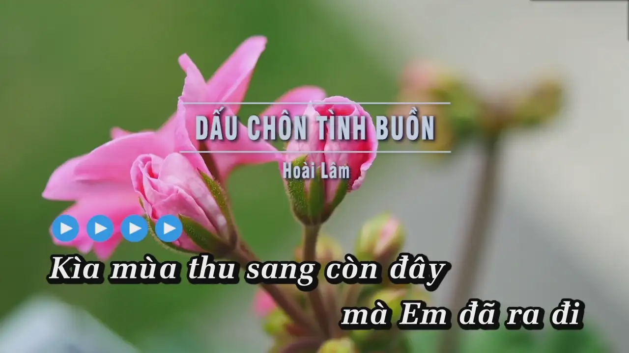 Ảnh bài hát Dấu Chôn Tình Buồn
