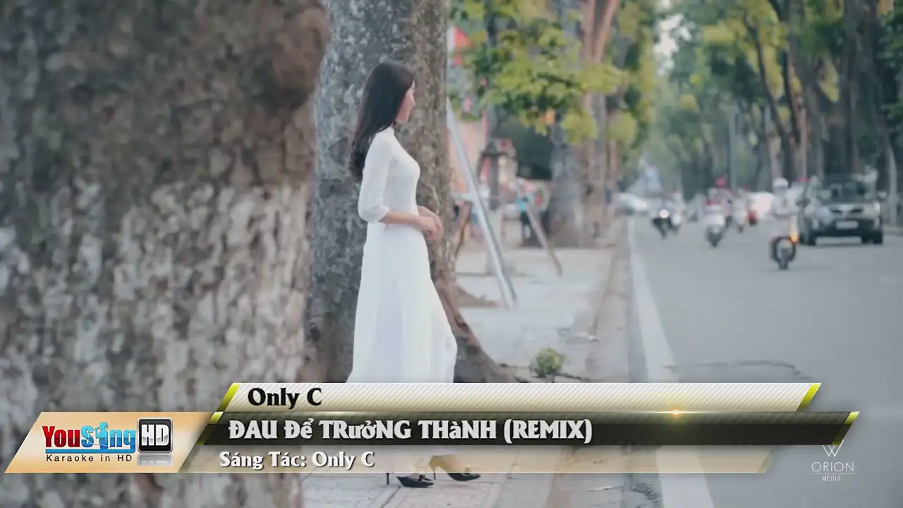 Ảnh bài hát Đau Để Trưởng Thành (Remix)