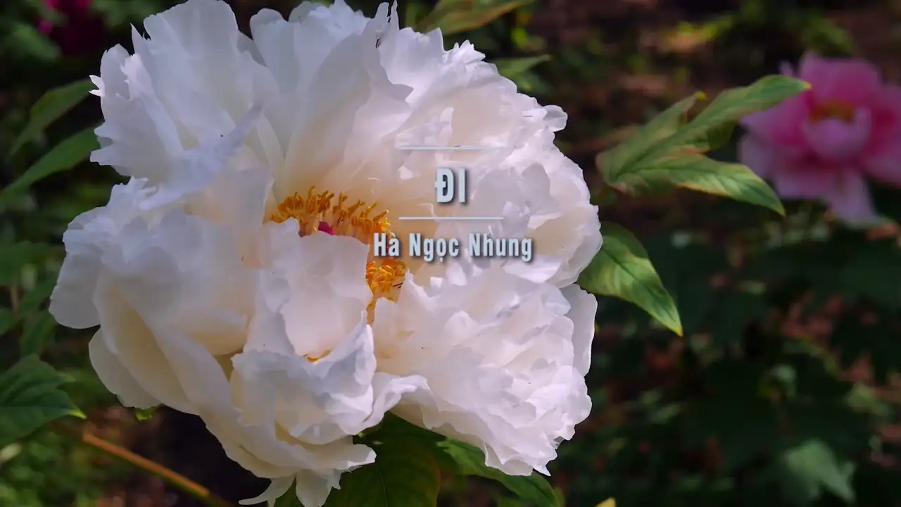 Ảnh bài hát Đi