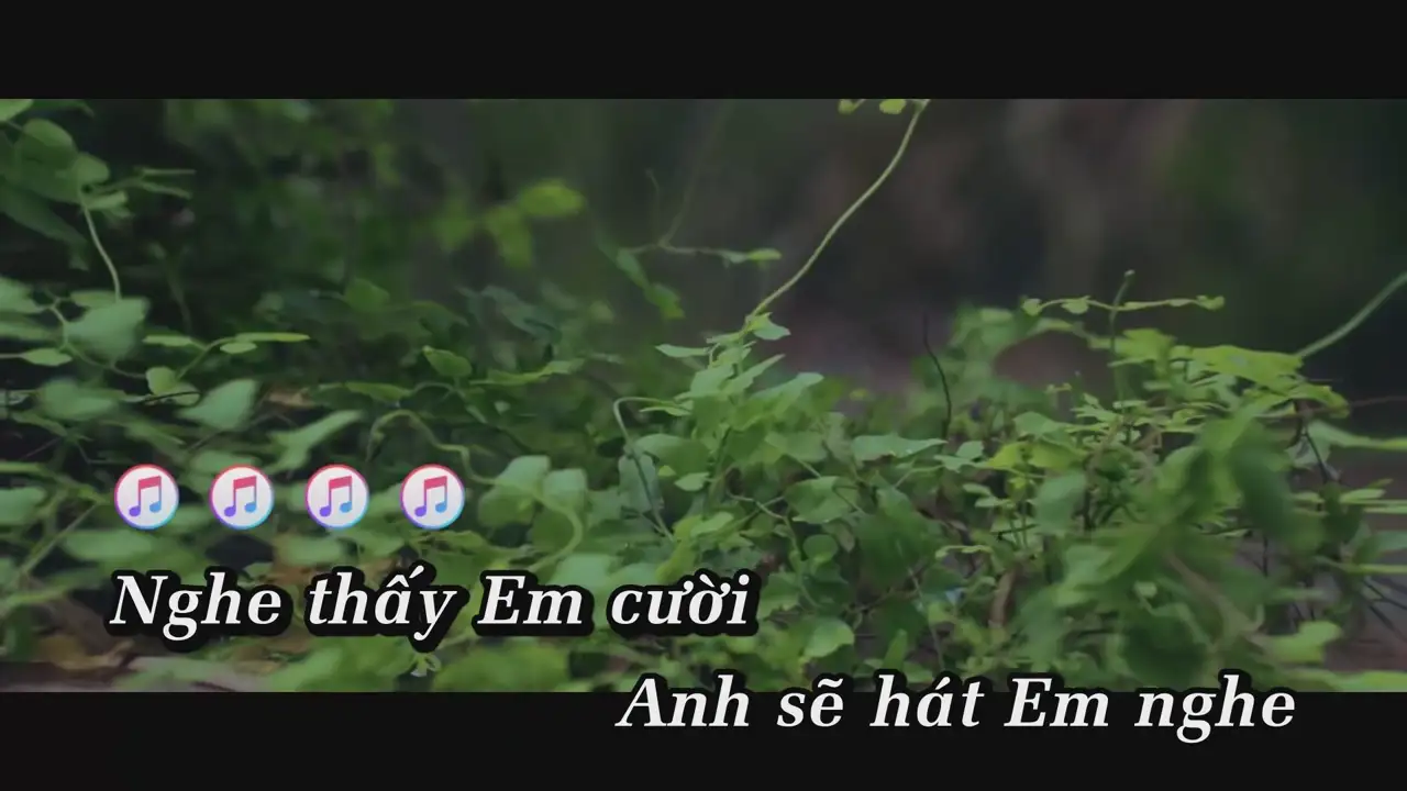 Ảnh bài hát Đô Trưởng