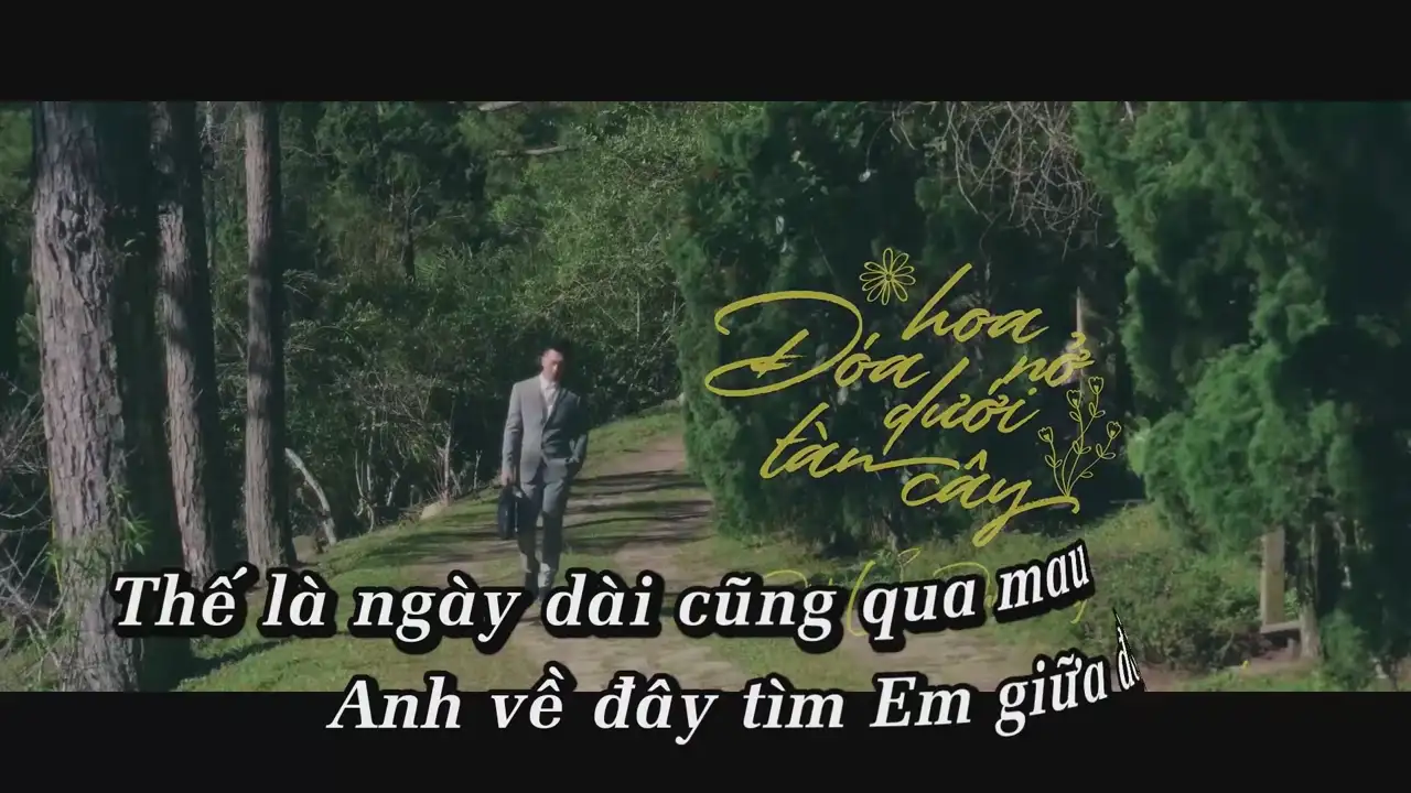 Ảnh bài hát Đóa Hoa Nở Dưới Tàn Cây